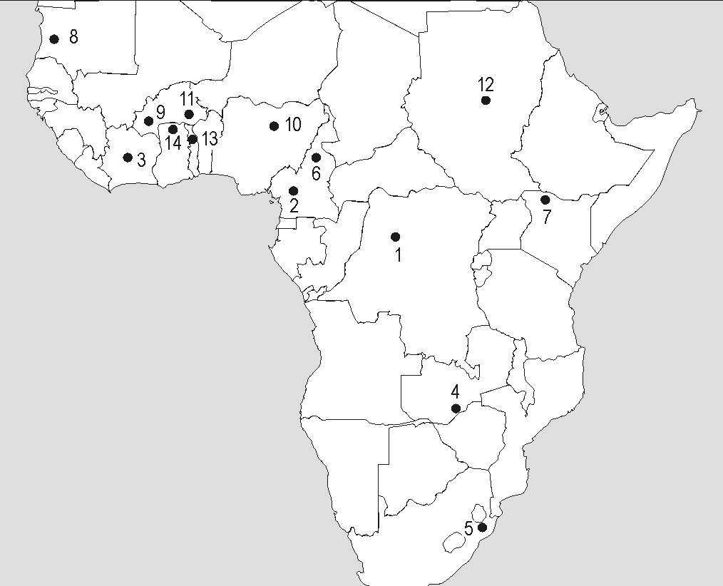 Materielle Kultur in Afrika